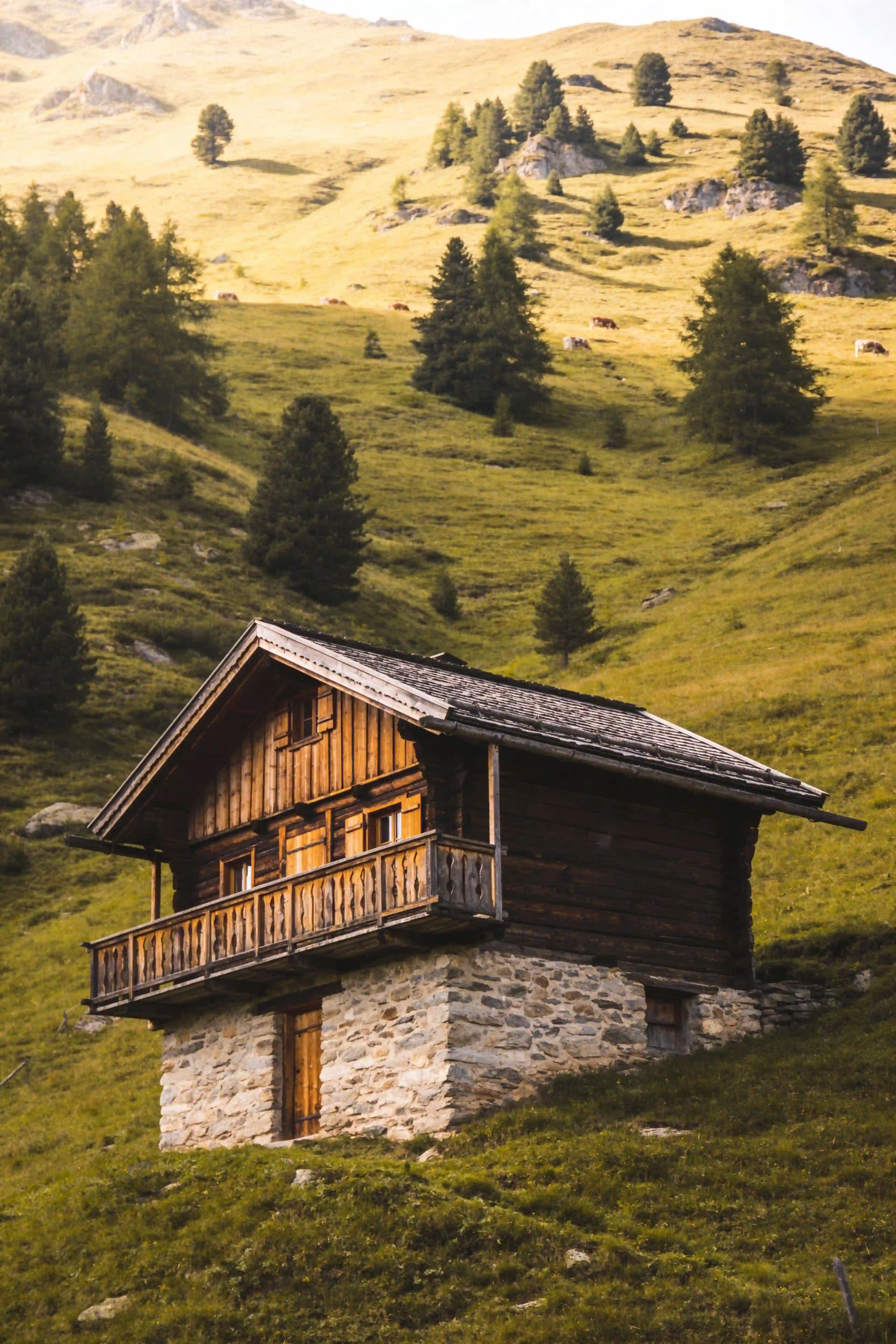 Alpine Mountain Chalet